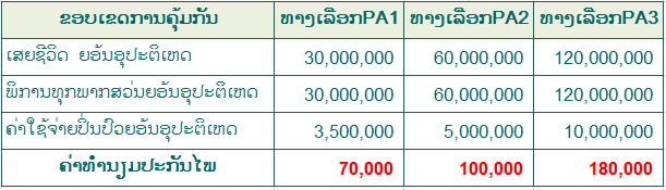 ປະກັນໄພອຸປະຕິເຫດຂັ້ນVIP PA3